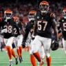 Bengals : Tensions au minicamp