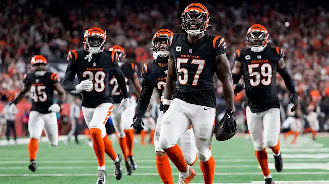 Bengals : Tensions au minicamp